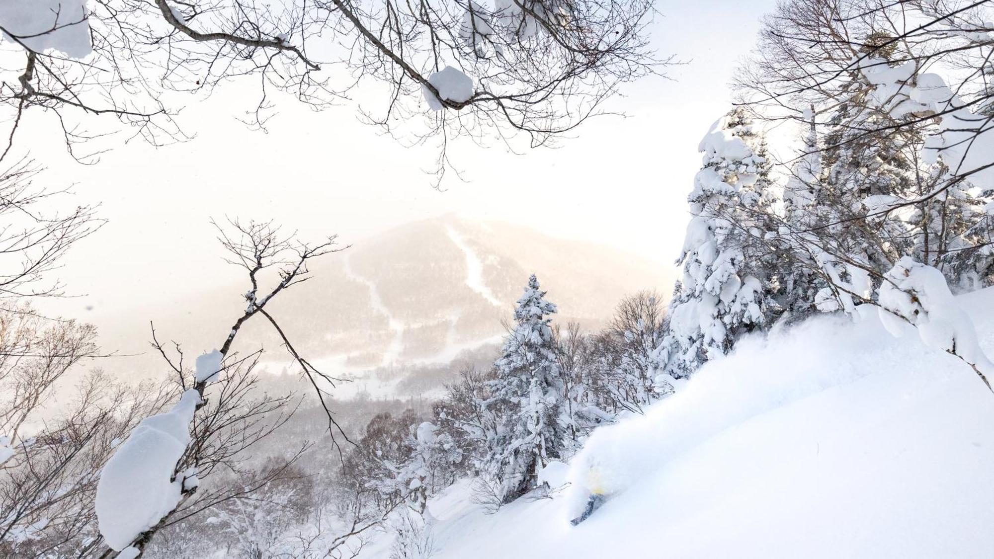 Ana Intercontinental Appi Kogen Resort By Ihg Hachimantai  Exterior photo
